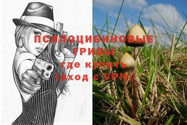 каннабис Пестово