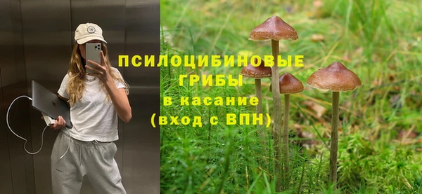 круглые Переславль-Залесский