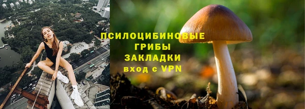 круглые Переславль-Залесский