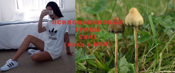MDMA Premium VHQ Нязепетровск